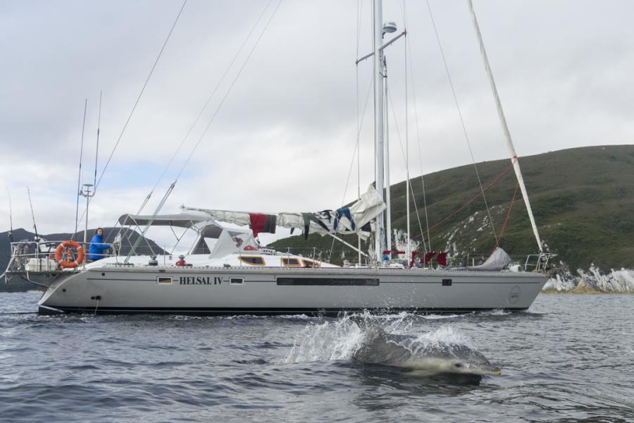 Helsal IV with dolphins in Port Davey, South West Tasmania